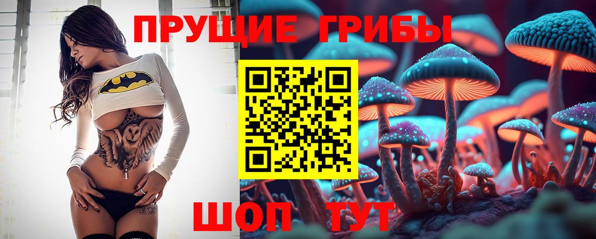 Галлюциногенные грибы GOLDEN TEACHER  Вход с VPN  цены наркотик  Коркино 